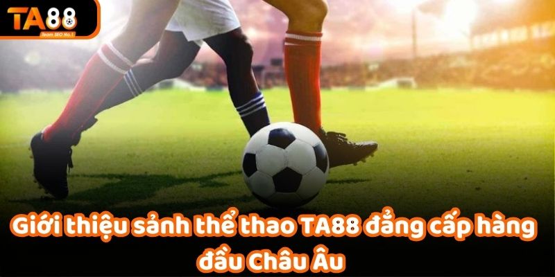 Giới thiệu sảnh thể thao TA88 đẳng cấp hàng đầu Châu Âu